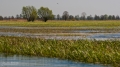039_Biebrza - kwiecien 2012